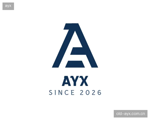 发现ayx公司